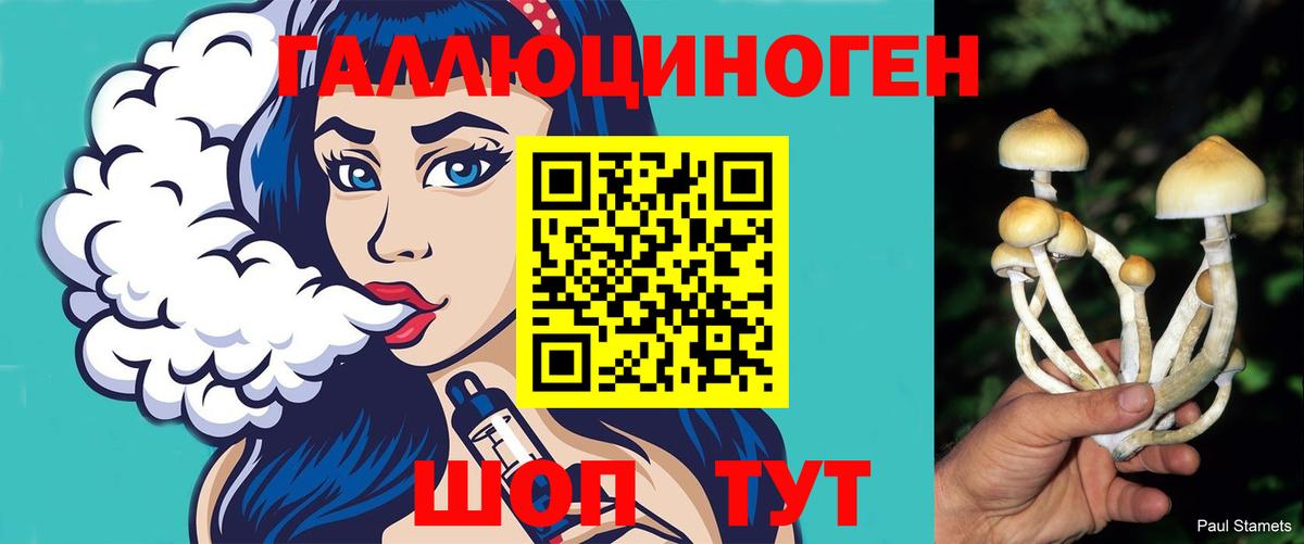 Галлюциногенные грибы ЛСД  Вход с VPN  Железногорск 